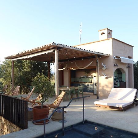 Alma Liebre Vinedos Del Valle Valle de Guadalupe Exterior photo