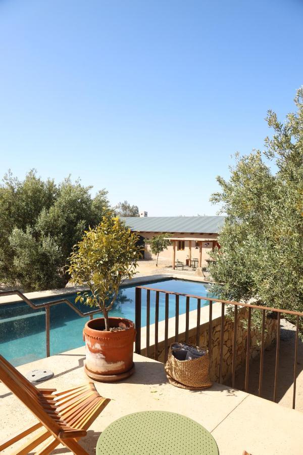 Alma Liebre Vinedos Del Valle Valle de Guadalupe Exterior photo