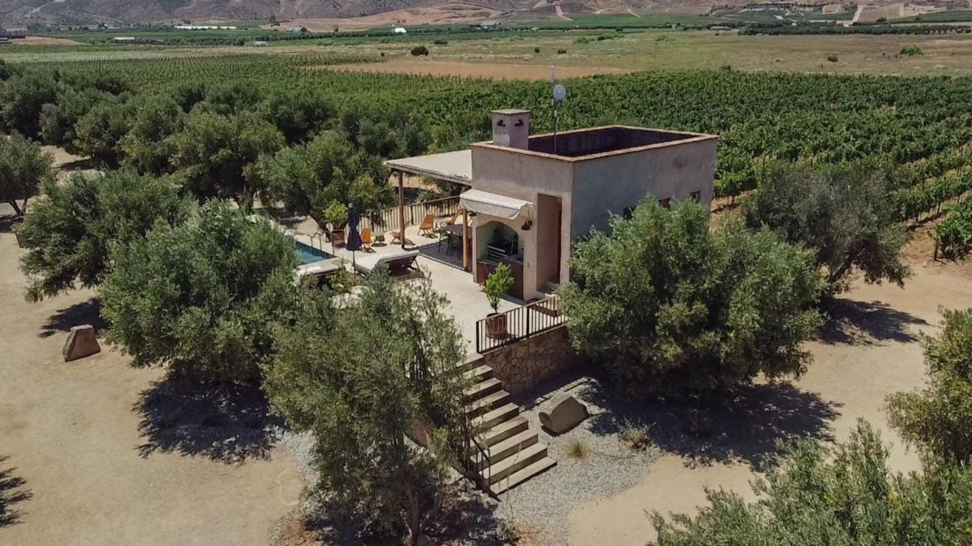Alma Liebre Vinedos Del Valle Valle de Guadalupe Exterior photo