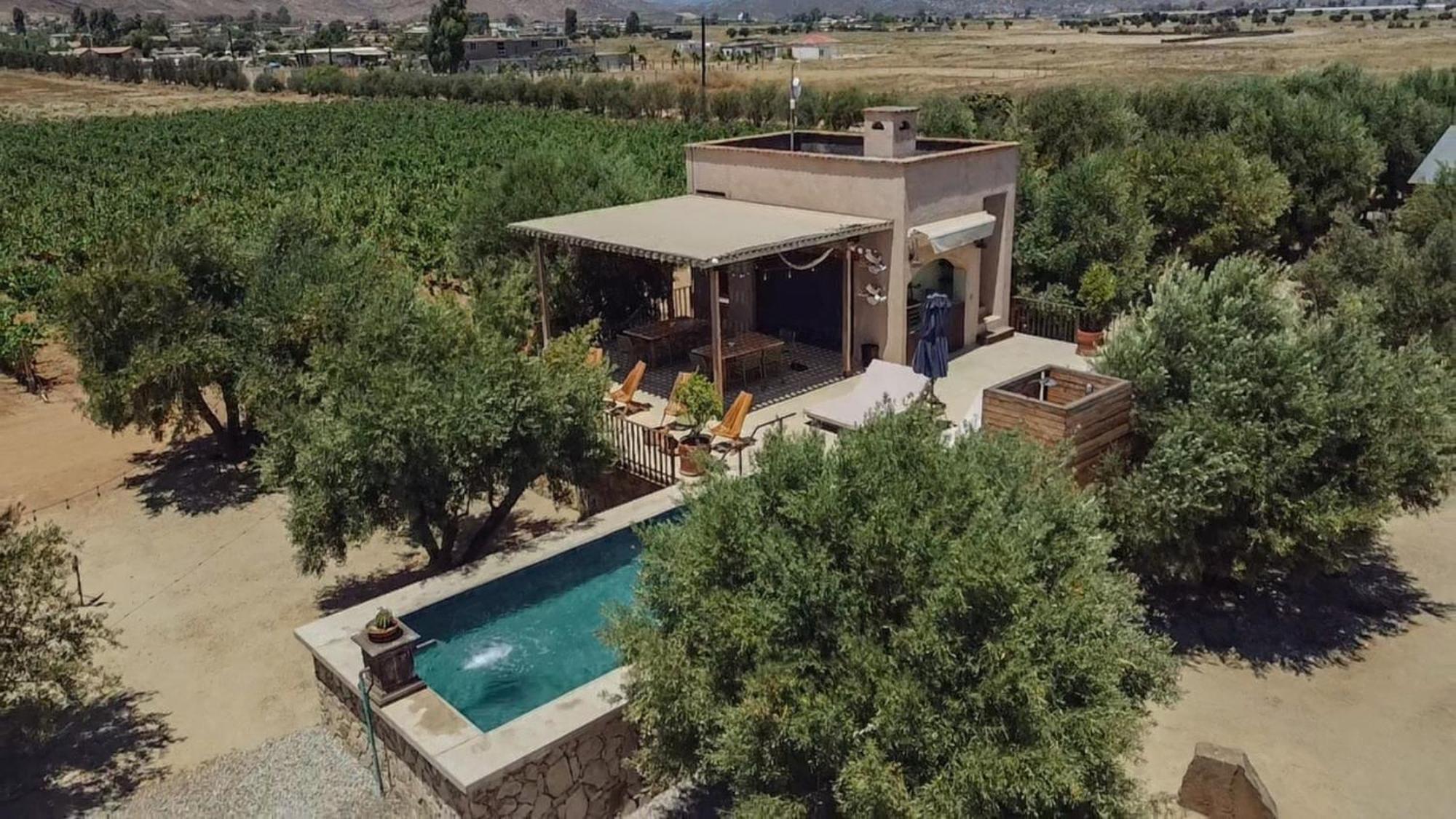 Alma Liebre Vinedos Del Valle Valle de Guadalupe Exterior photo