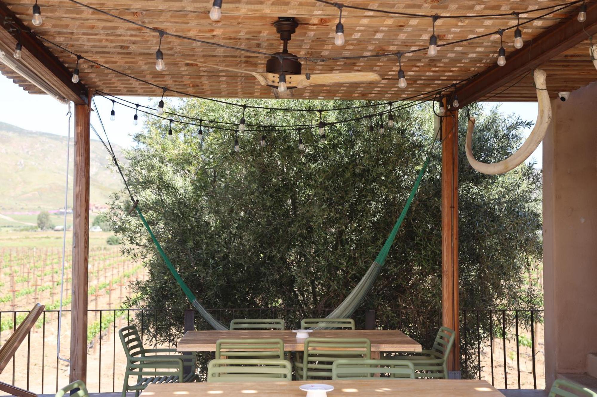 Alma Liebre Vinedos Del Valle Valle de Guadalupe Exterior photo
