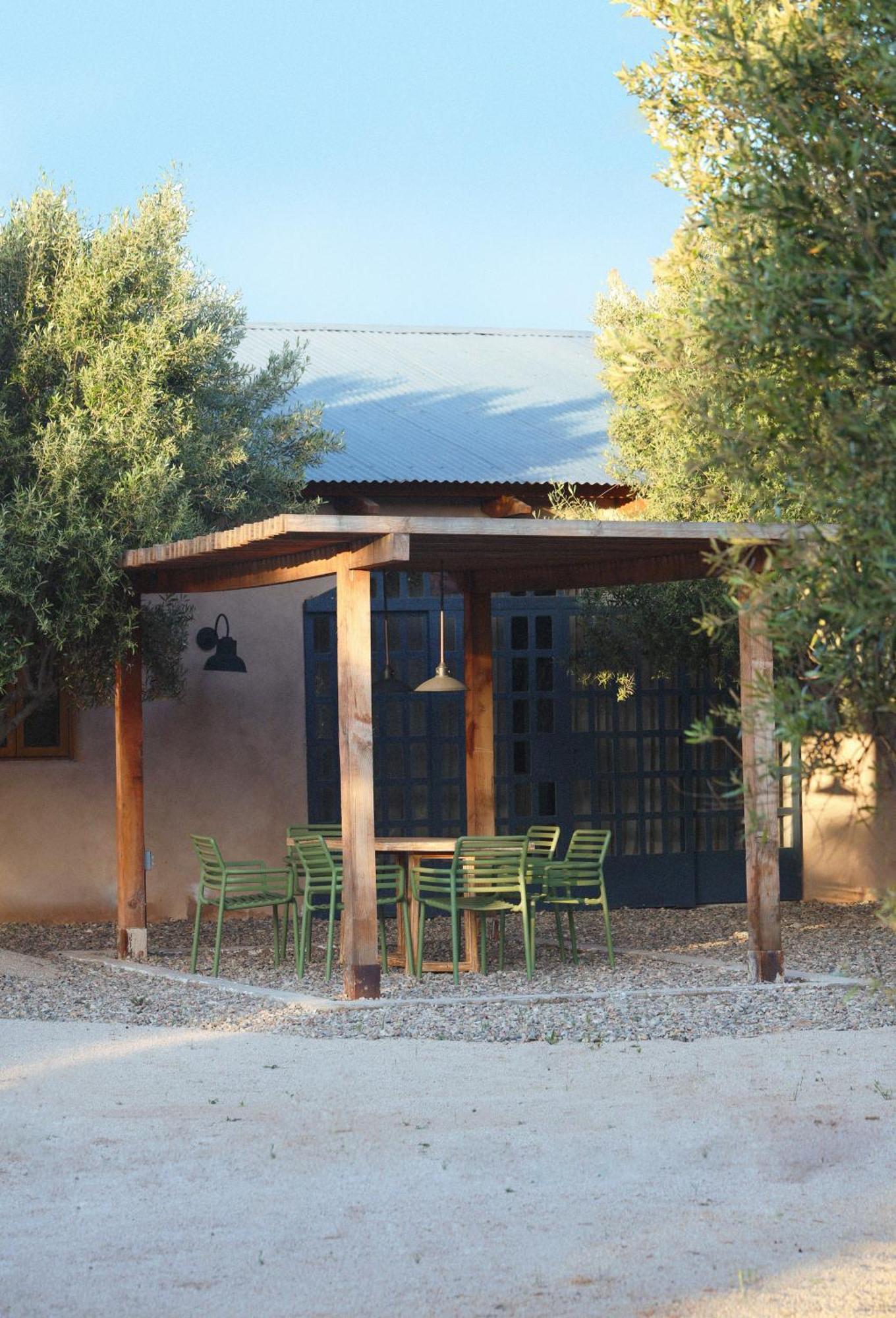 Alma Liebre Vinedos Del Valle Valle de Guadalupe Exterior photo